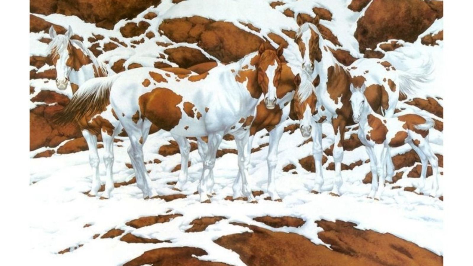 Optical Illusion Alert: Can You Spot ALL the Hidden Horses in This Snowy Puzzle?