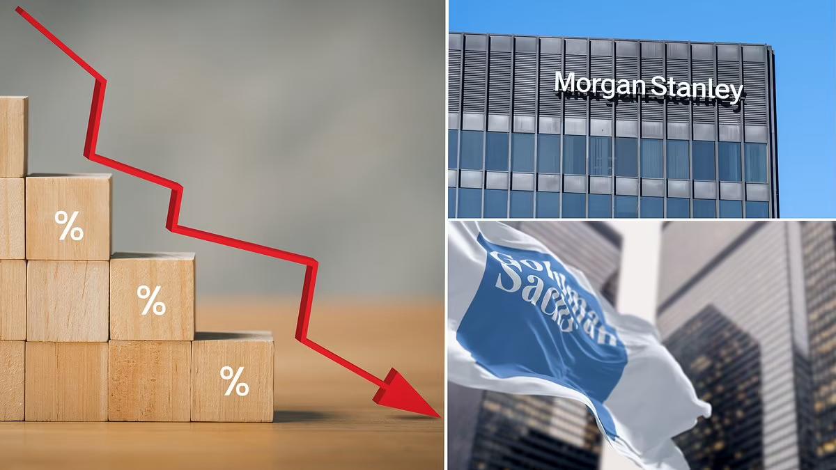 Lower Inflation Fuels Rate Cut Hopes: Morgan Stanley Predicts Policy Easing