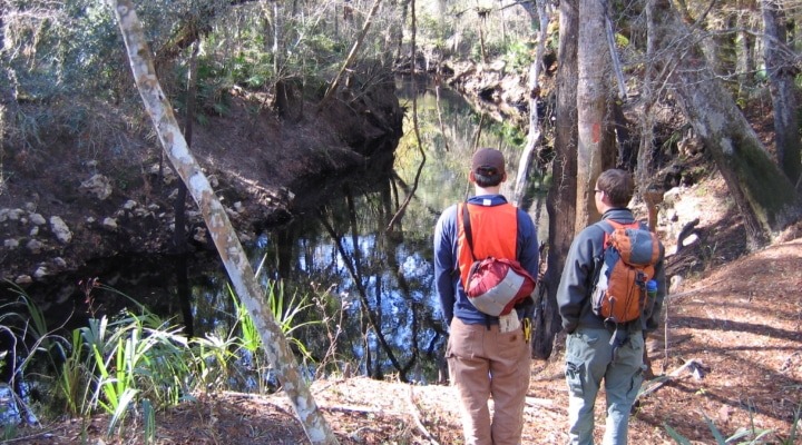 Finish The Year With A Walk In The Woods: St. Lucie County’s Guided Nature Series