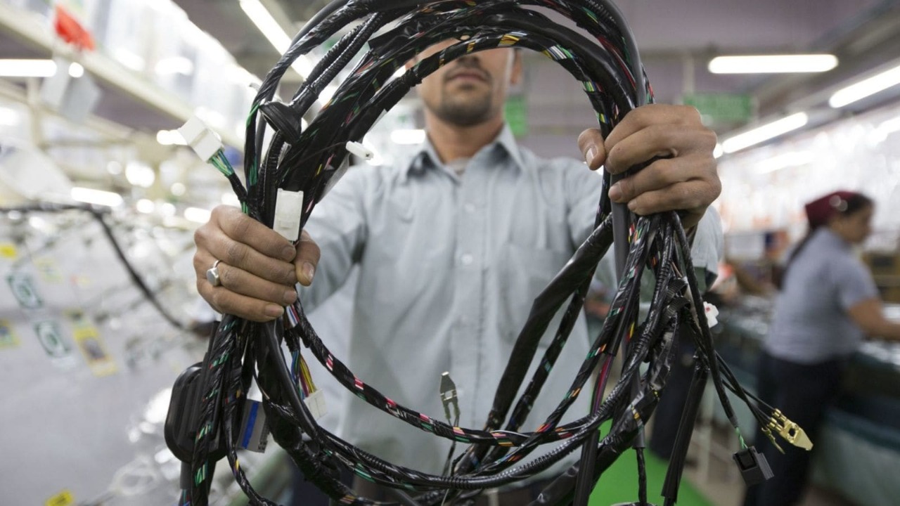 Motherson Sumi Wiring India Reports Revenue and Profit Growth