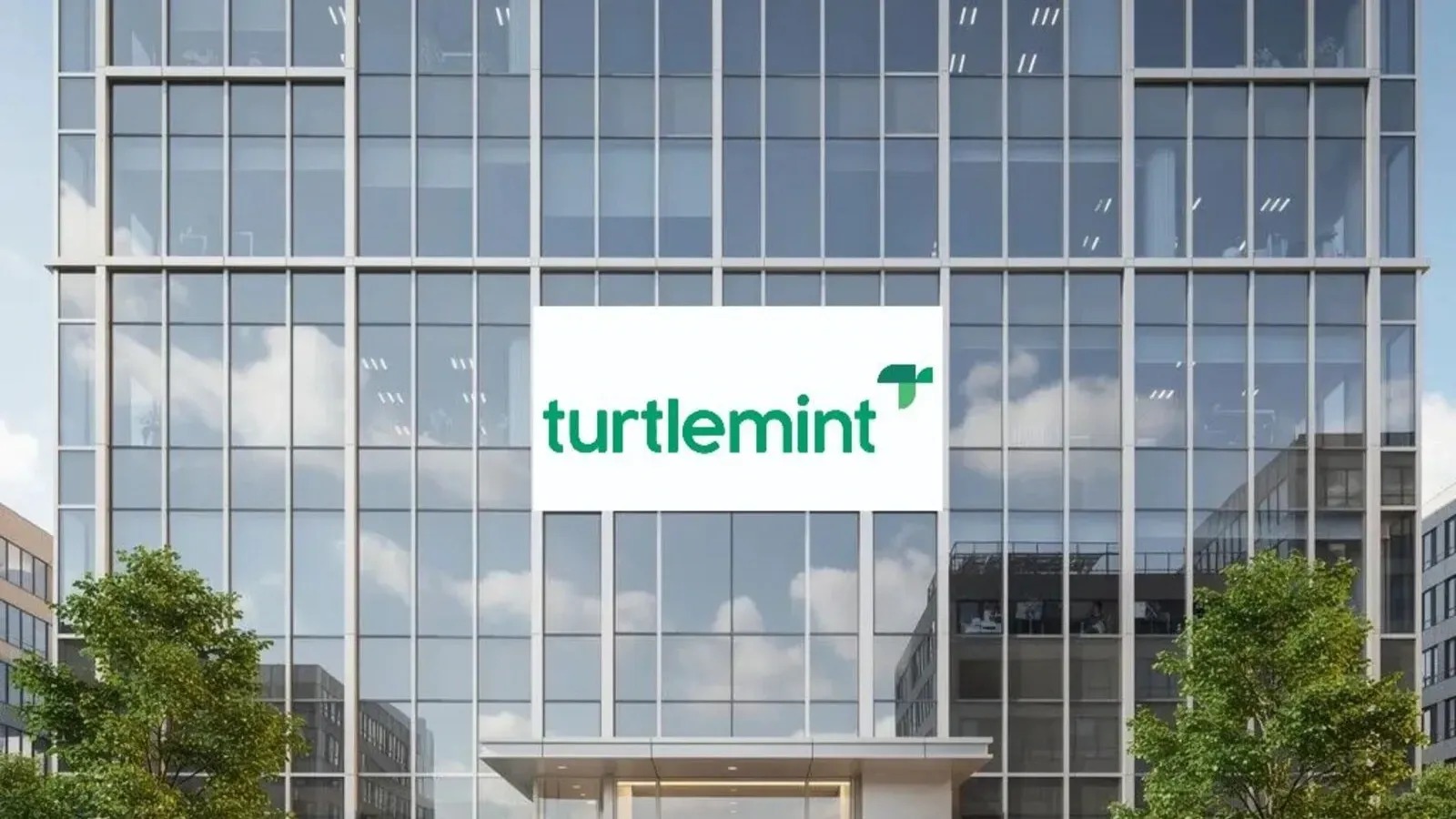 Turtlemint IPO: Key Details and Risks Ahead of Subscription