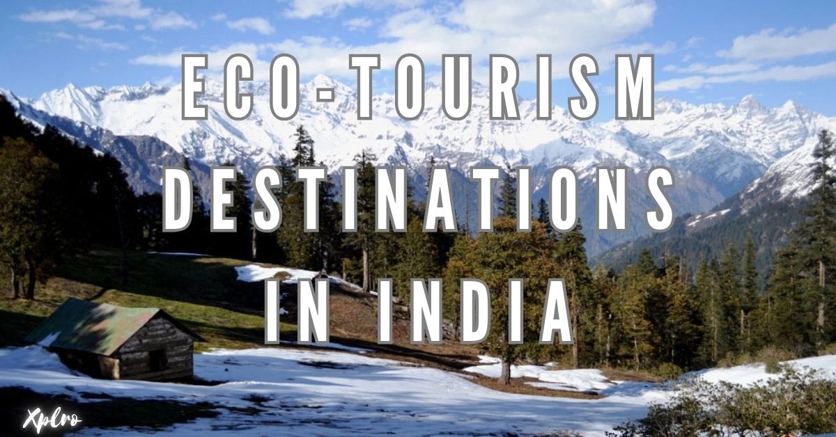 Green Trails and Happy Tales: Celebrate Environment Day at India’s Eco Paradises