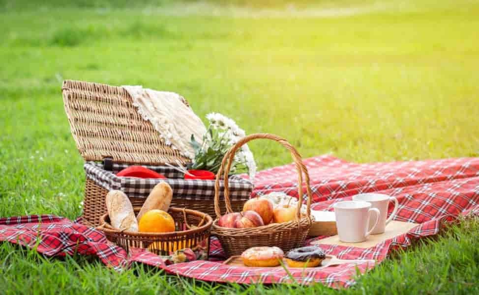 7 Best Picnic Spots In Chennai For A Relaxing Day Outdoors