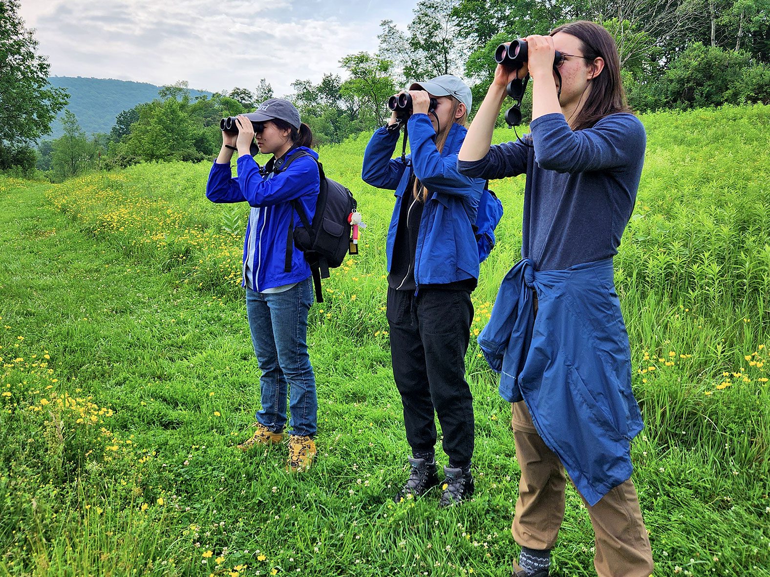 India's Birdwatchers Unite:  GBBC 2024 Set To Create A Global Impact