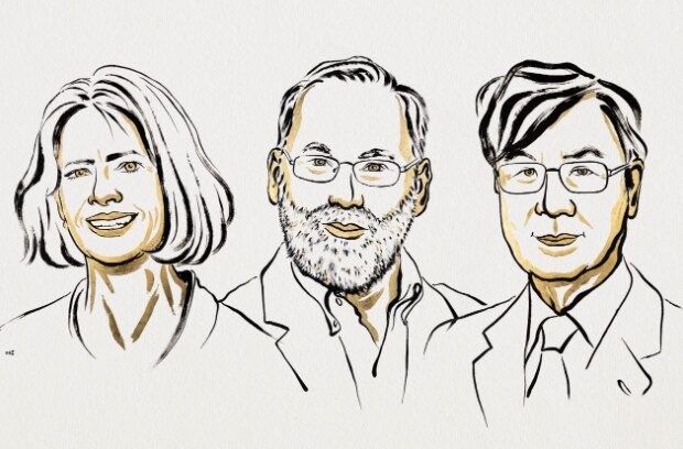 Immune Insight Wins Nobel: Brunkow, Ramsdell, Sakaguchi Honoured for Treg Cell Discovery