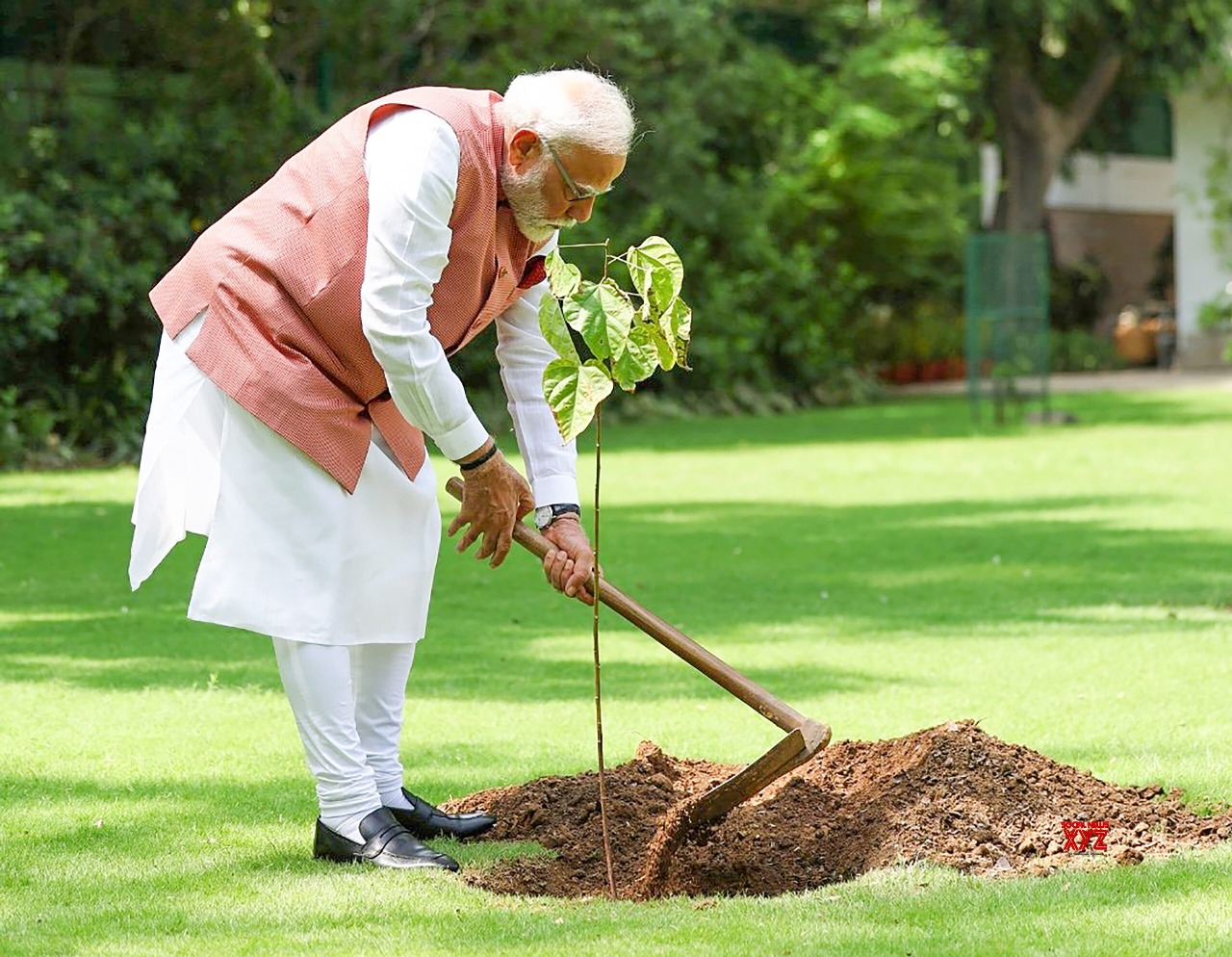 PM Modi Strengthens Aravalli Green Wall Project With Tree Plantation Drive On World Environment Day