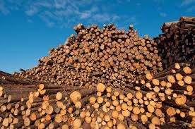 Fire Incident at Indian Wood Products’ Bareilly Godown Contained Swiftly; Production Unaffected