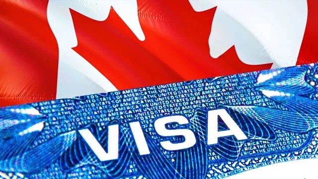 Canada's International Student Influx Slows as New Visa Restrictions Bite