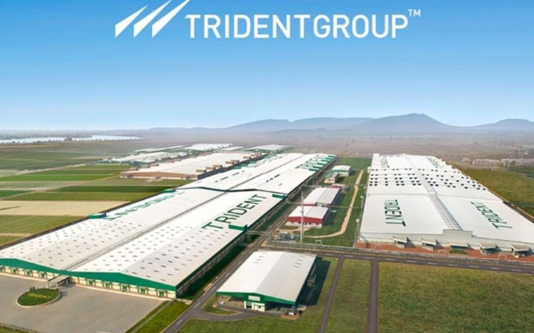 Trident Goes International—₹2.5 Billion Bet on Dutch Subsidiary to Stitch Global Success