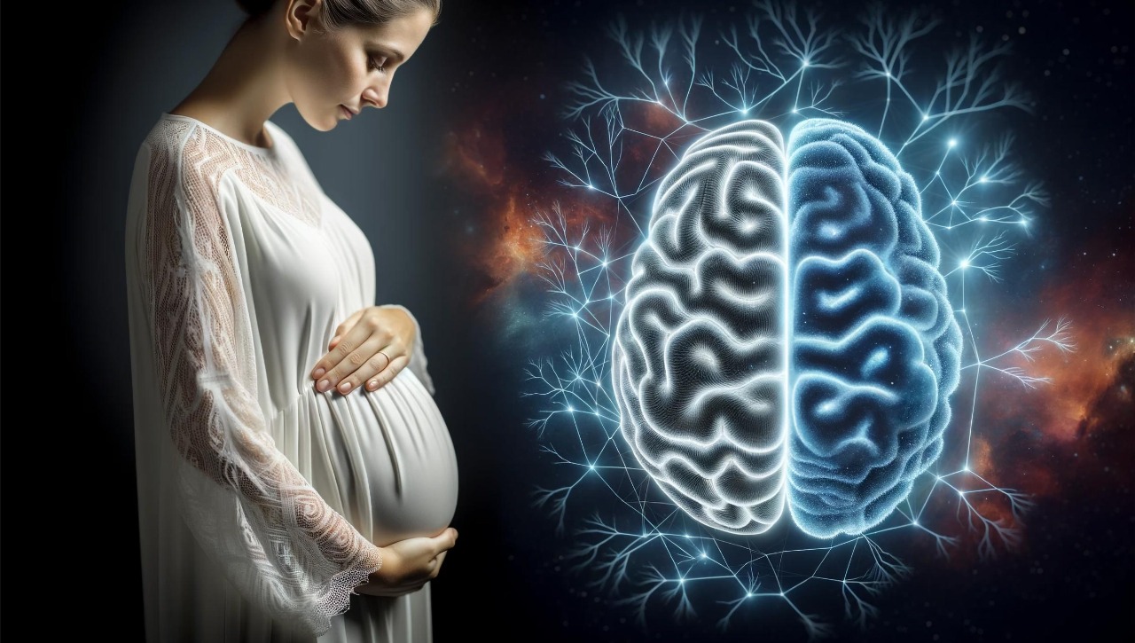 Pregnancy Hormones May Have Shaped the Human Brain: New Study Links Placenta to Evolutionary Leap
