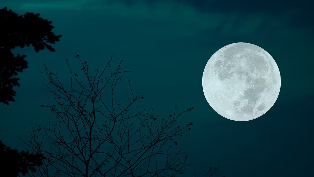 Freeze Your Gaze: How to Witness December's Massive Cold Supermoon Phenomenon