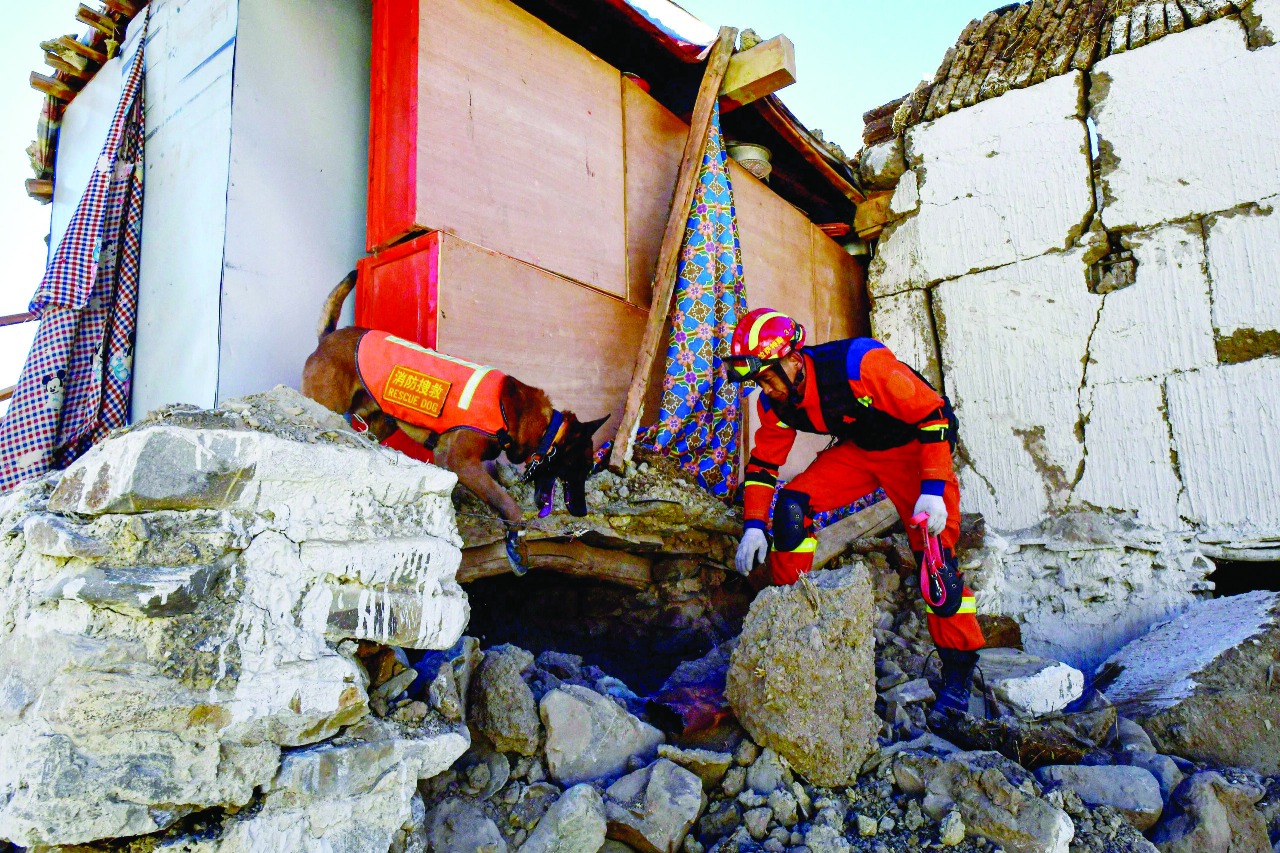 Ethiopia Demonstrates Resilience as 6.0 Magnitude Quake Strikes Near Metahara