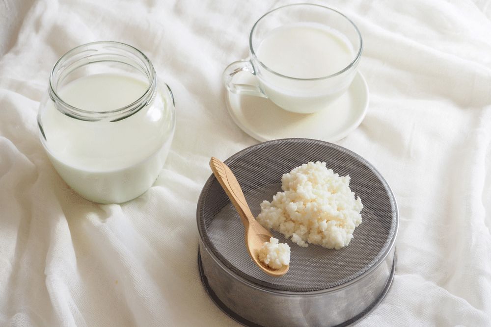 Cultured comfort: Sip-smart kefir, the tangy tonic your gut will love