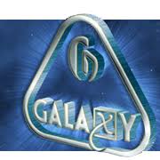 Galaxy Agrico Exits Core Business in ₹92.5 Million Slump Sale to Forgex Rings