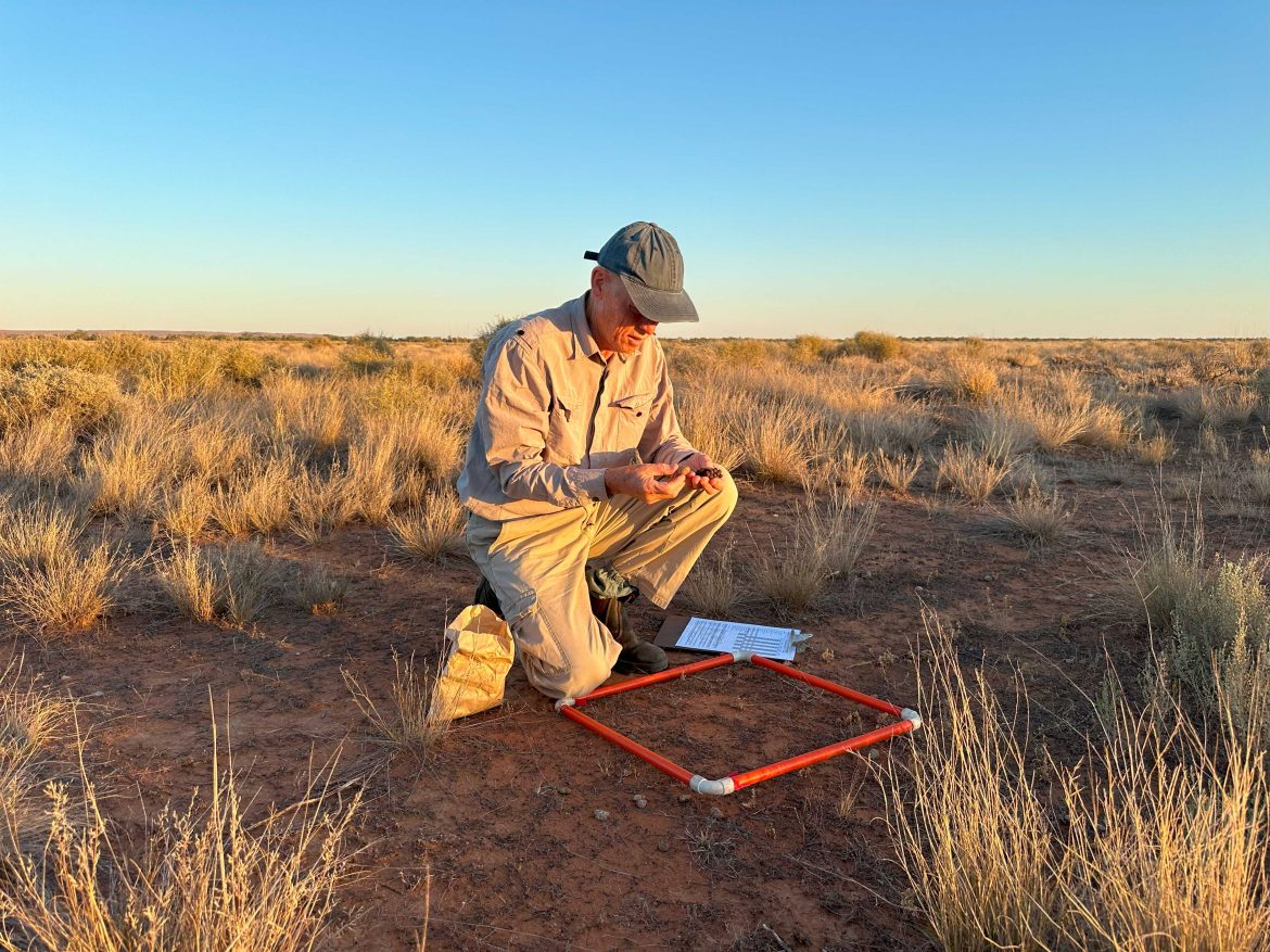 Dung Detectives: Manure Revolutionizes Global Herbivore Mapping