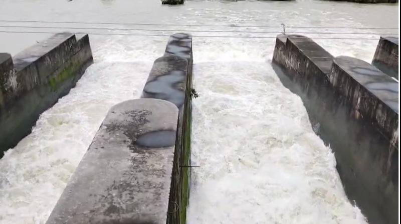 Pong Unplugged: Dam Lets Loose 40,000 Cusecs in Talwara Tune-Up