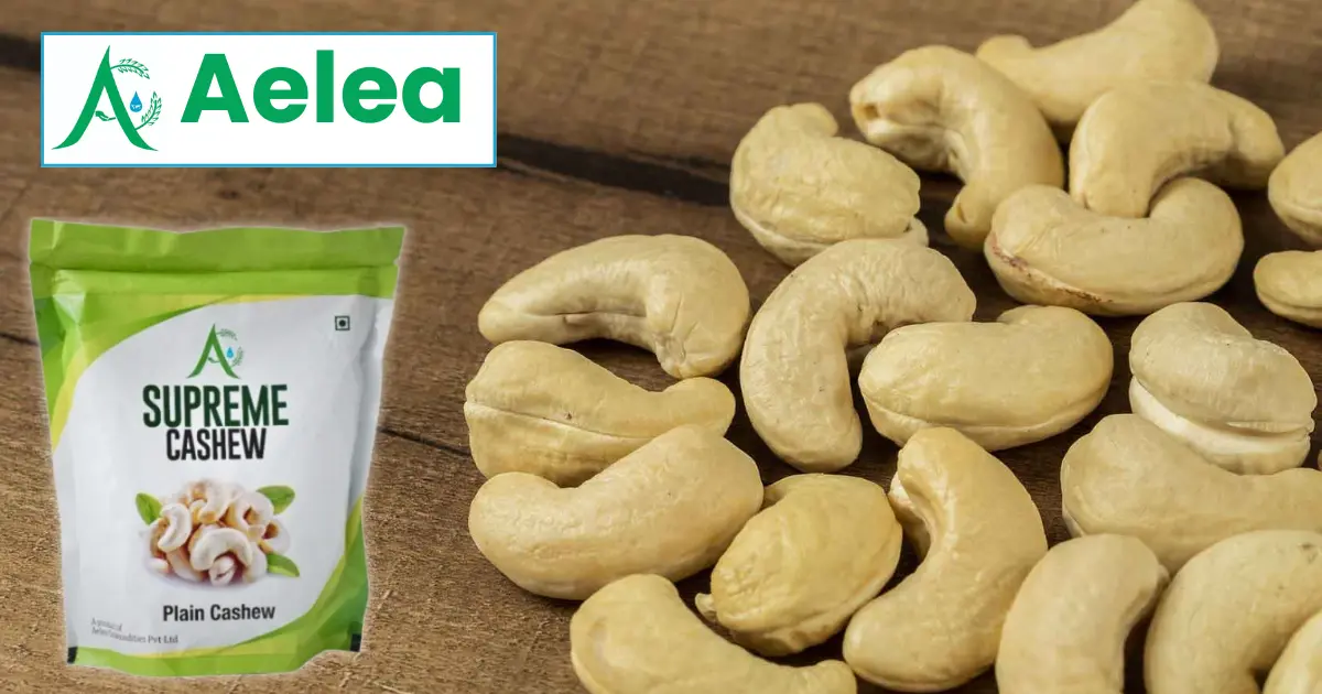 Aelea Commodities Commences Production at Unit 11 After ₹370.8 Million Investment, Marks Major Expansion in Cashew Processing