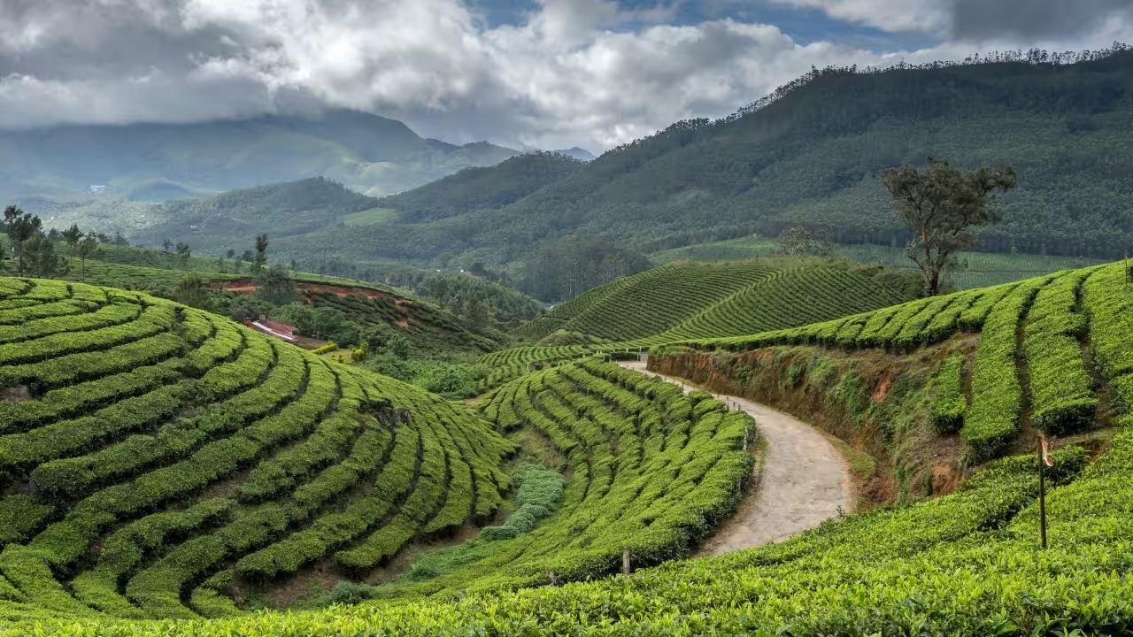 Kerala Ranked Among World’s Best Destinations For 2026