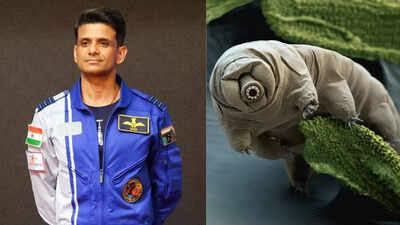 Tiny Titans in Zero-G: Shubhanshu Shukla Sends Tardigrades to Space School