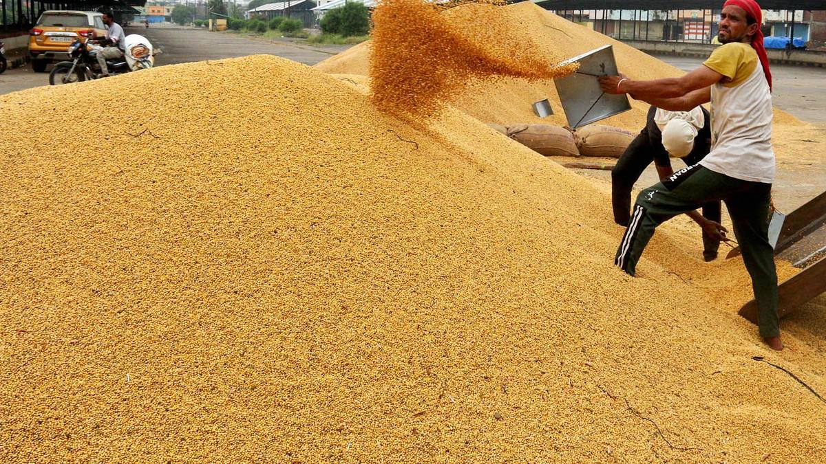 India's Soybean Imports Jump 65% to Record 200,000 Tons in May
