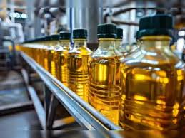 Edible Oil Imports on Hold—Kandla Congestion Pours Cold Press on June Volumes