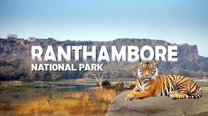 Wild India Unleashed: 8 National Parks Offering the Best Wildlife Viewing in 2025