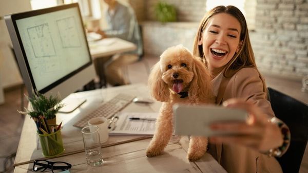 Paws & Peace: How Pets Are Rewriting India’s Mental Wellness Playbook