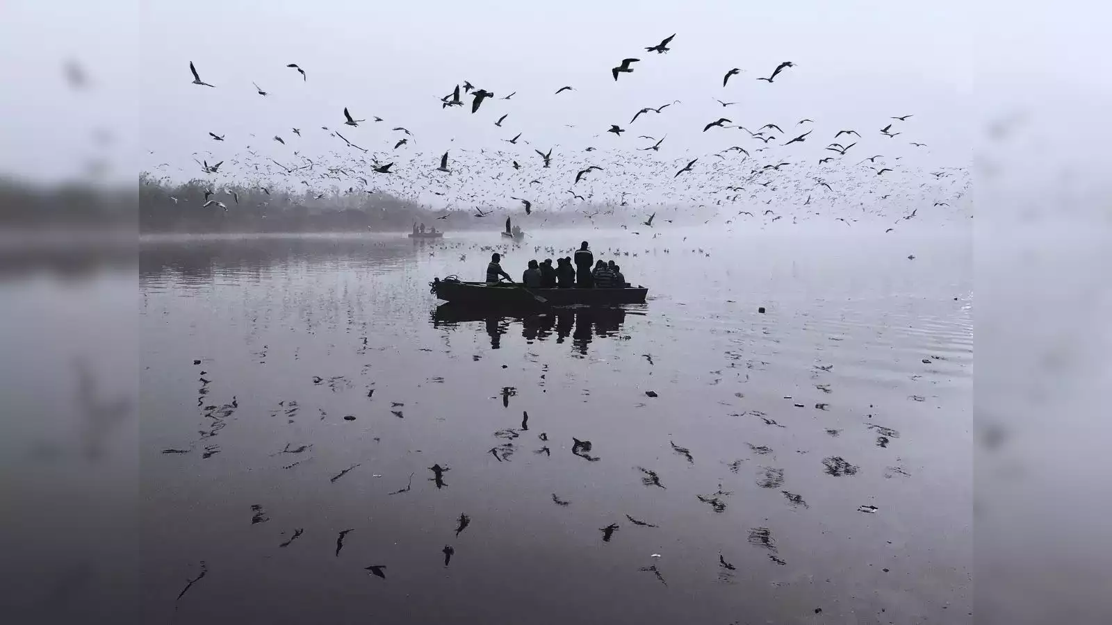 Beneath the Foam: Yamuna's Pollution Problem Persists