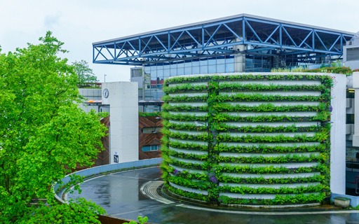 Nigeria's Digital Boom: Akanksha Power Leads the Charge with Green Data Centers