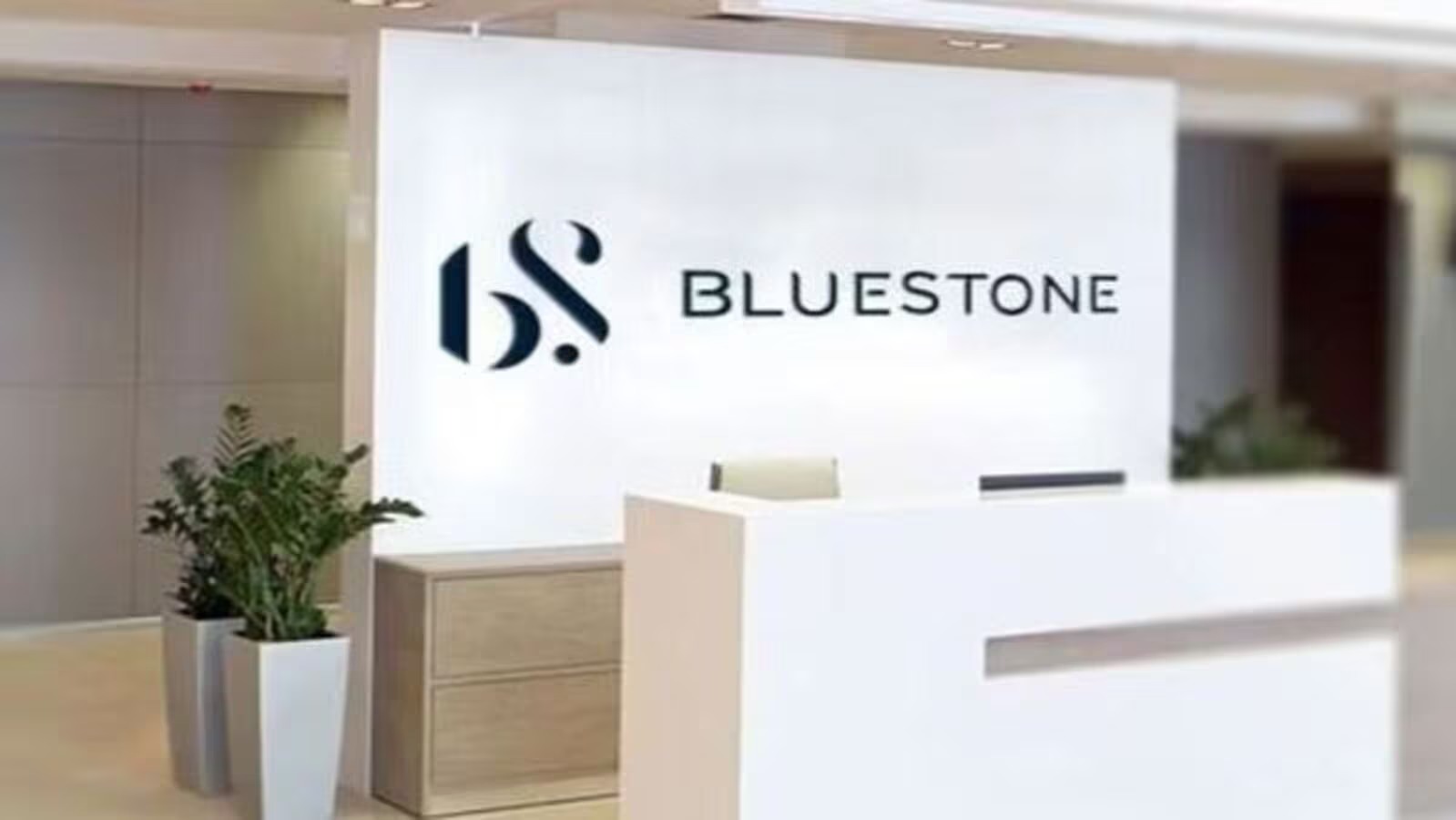 Revenue Sparkles, Profits Fade: Bluestone’s June Quarter Shows Growth at a Cost