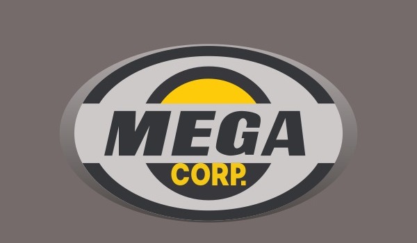 Mega Corp Appoints Vikram Anand as New CFO to Drive Financial Strategy