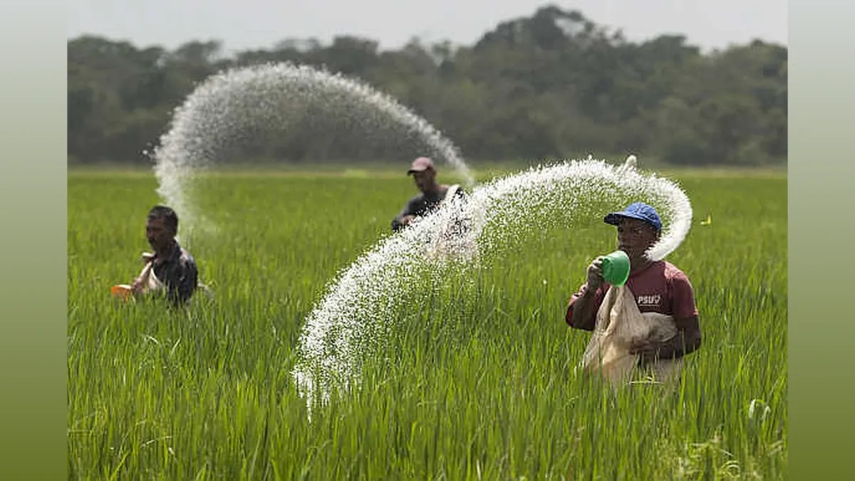 Yara Digs Deep: Fertiliser Imports Set to Bloom 25 Percent