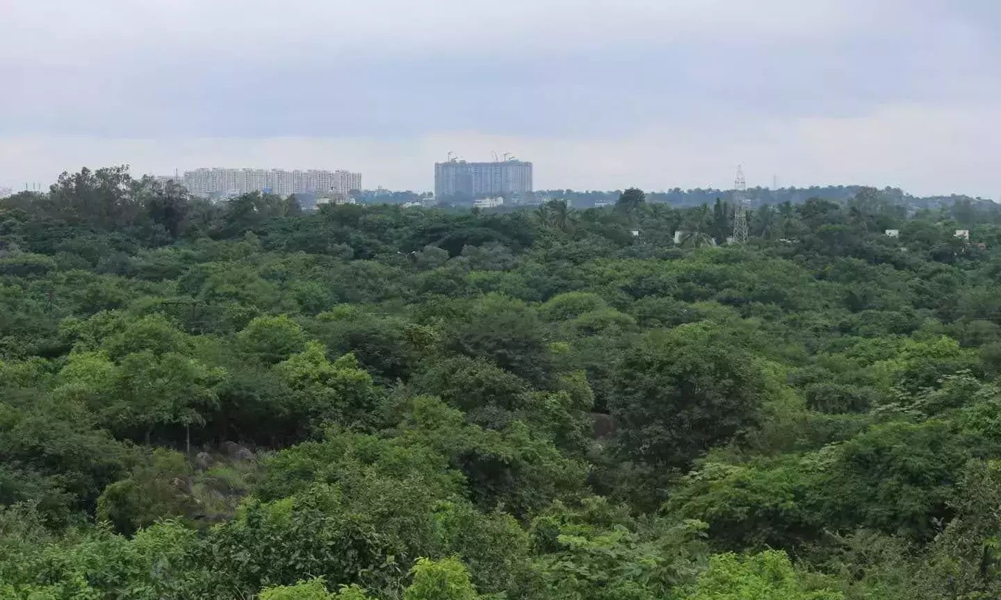 Building Dreams, Battling Decrees: Kancha Gachibowli IT Hub Faces Clearance Hurdles