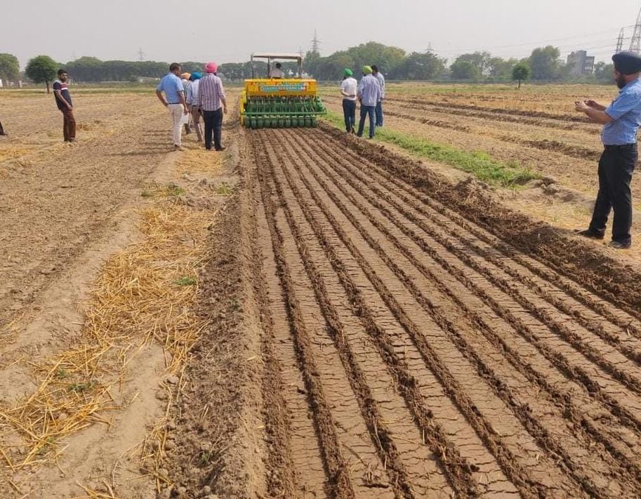 Punjab Rolls Out Green Revolution 2.0: 5 Lakh Acres to Go Water-Smart with DSR Paddy Sowing