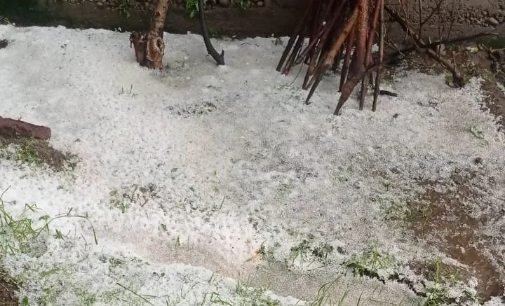 Rajasthan Transformed: Hailstorms Bring Winter Wonderland, but at What Cost?
