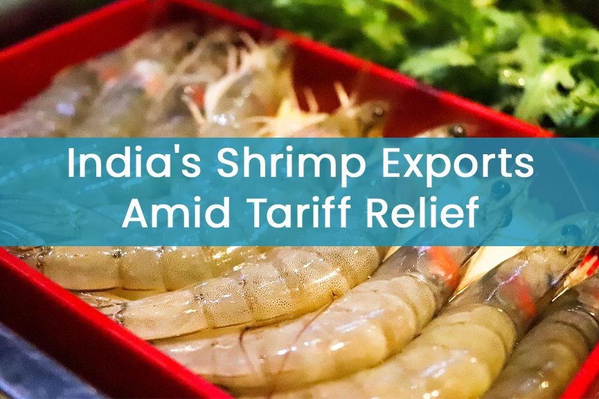 Indian Shrimp Exporters Rally 6%-20% on Near-final US Tariff Cut Deal Boost