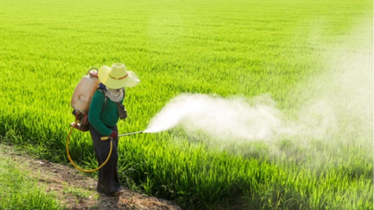 Insecticides India Posts Strong June Quarter With Robust Profit And Revenue Growth