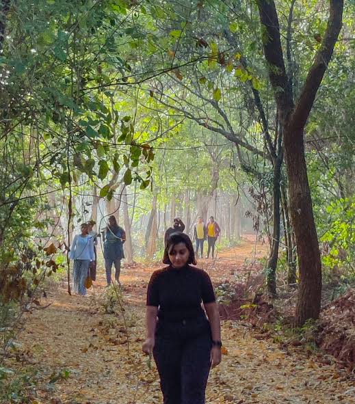 Into the Green: Western Ghats Forest Bathing Emerges as New Wellness Trend