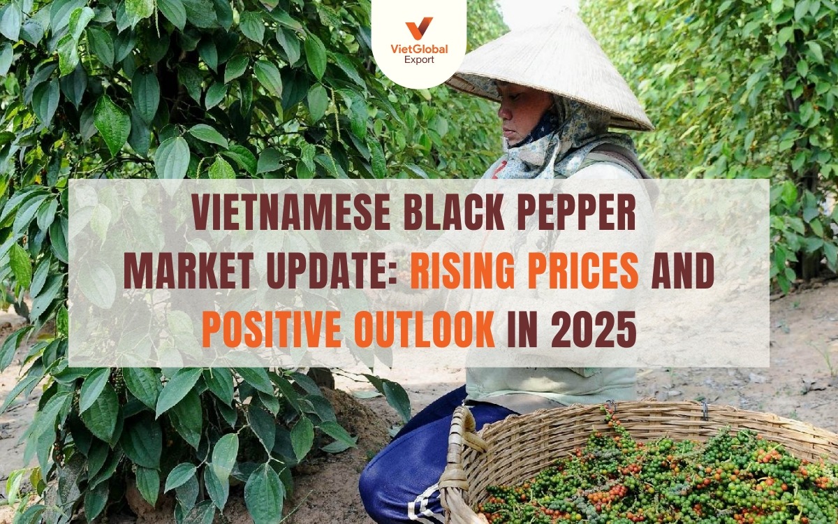The Spice of Success: Vietnam's Pepper Sector Ready to Shine