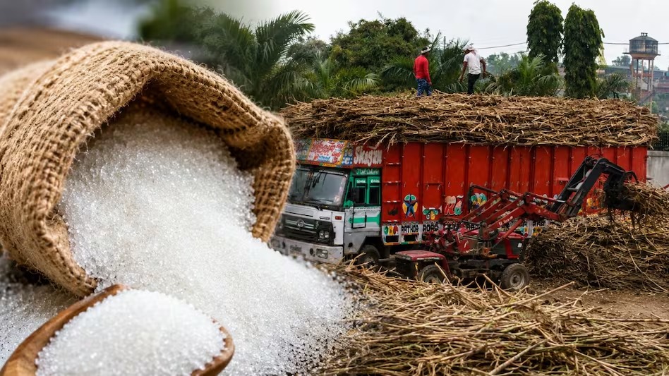 Sweet Security: India Monitors Sugar Prices and Demands Festive Supply Stability