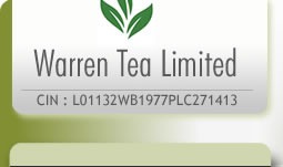 Brewing a New Future: Warren Tea Eyes Luxe Hospitality with Maple Tie-Up