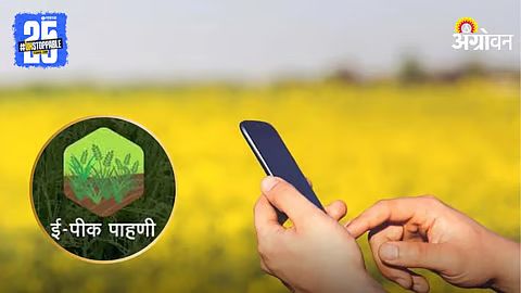 Offline Lifeline for Farmers: Maharashtra Extends E-Crop Survey Registration Till Jan 15
