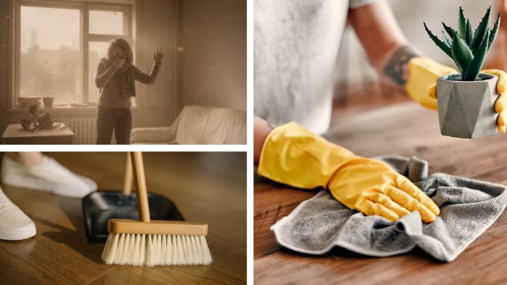 Dust-Proof Your Home: 8 Smart, No-Air-Purifier Hacks for a Cleaner, Fresher Space