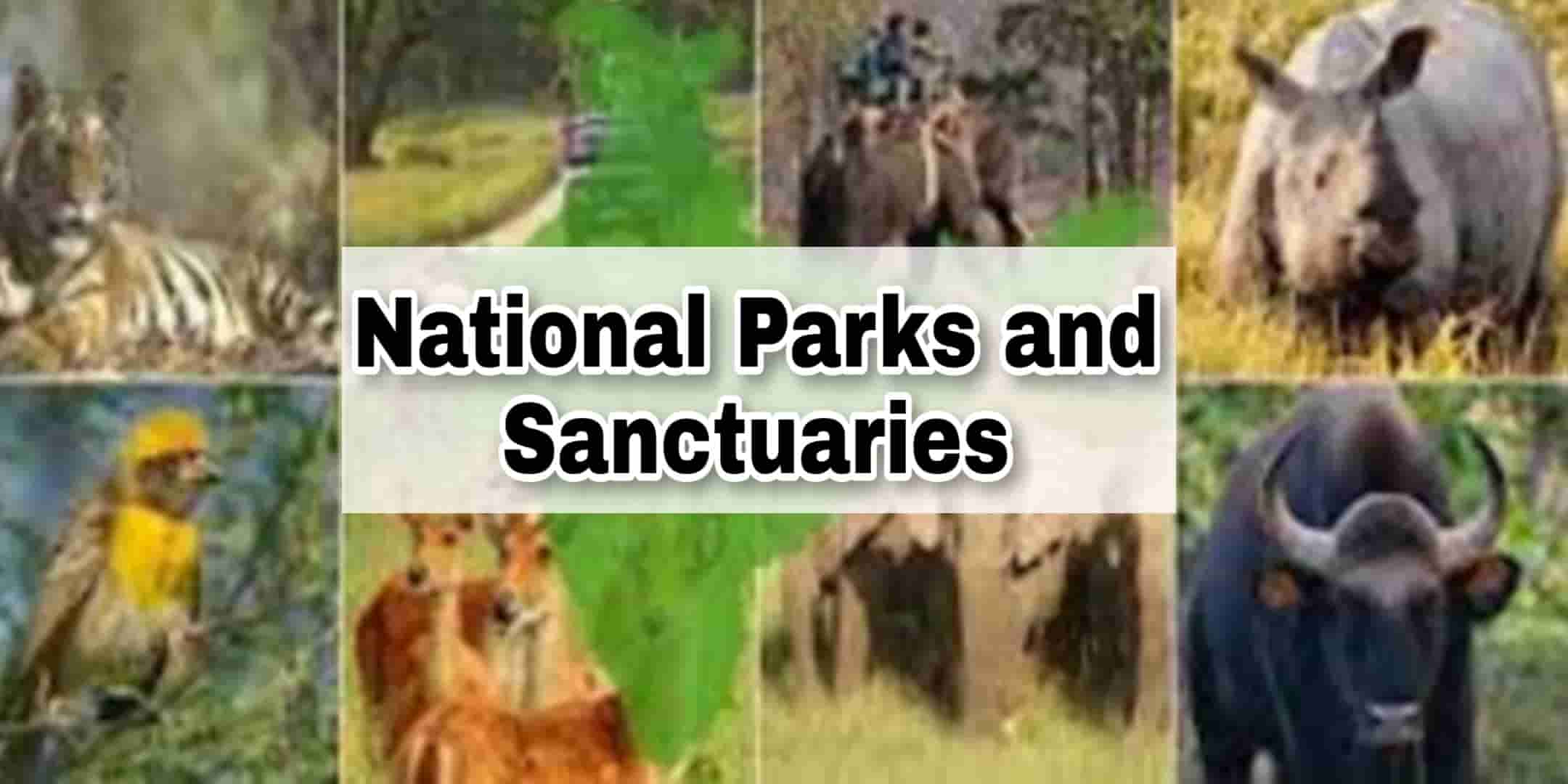National Parks vs Wildlife Sanctuaries: Unveiling the Hidden Differences in Conservation