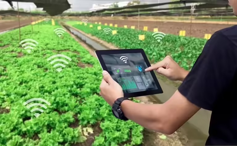 Tamil Nadu Revamps e-Vaadagai App: Farmers Gain Easy Access to Farm Machinery