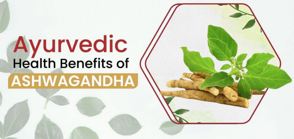 Ashwagandha Explained: Nutritional Profile and Evidence Based Uses
