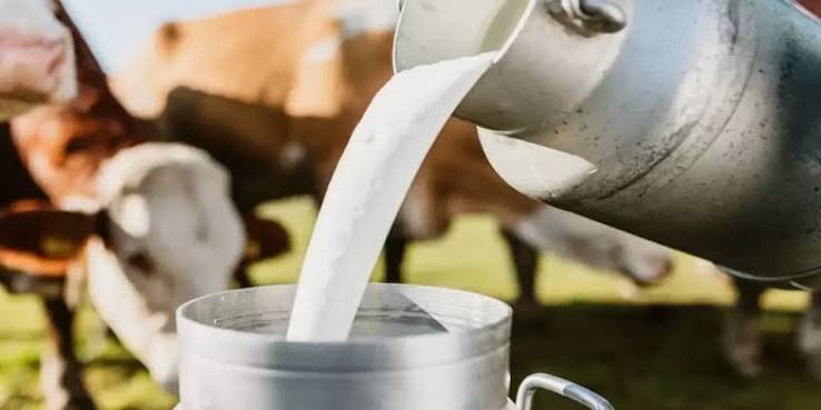 India Is Quietly Building Something That Could Transform the Dairy Industry