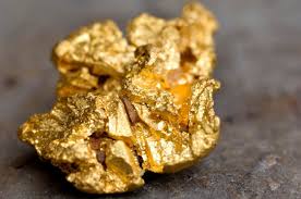 Gold-Digging Microbe: Scientists Decode How Cupriavidus Metallidurans Turns Toxic Metals into Gold Nuggets