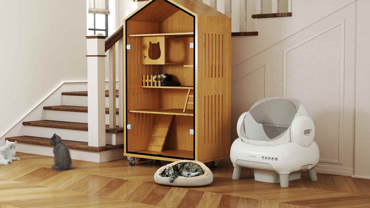 Quiet Corners, Safe Spaces: Transforming Homes into Pet Sanctuaries