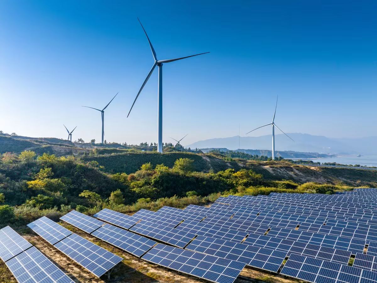 Plugged In: Why Curbing Solar Cell Imports Is Crucial for Long-Term Security